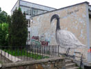 escif | bird | wroclaw | poland (29 votes)
