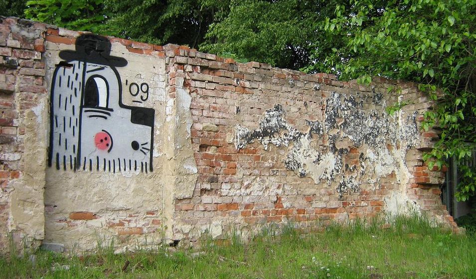 felto | dog | poland