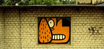 felto | dog | orange | poland (50 votes)