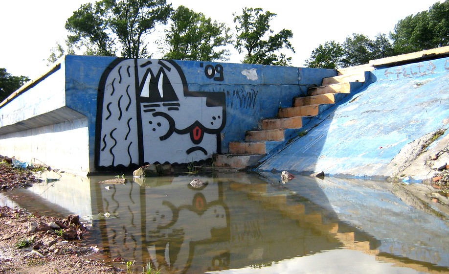 felto | dog | oik | poland
