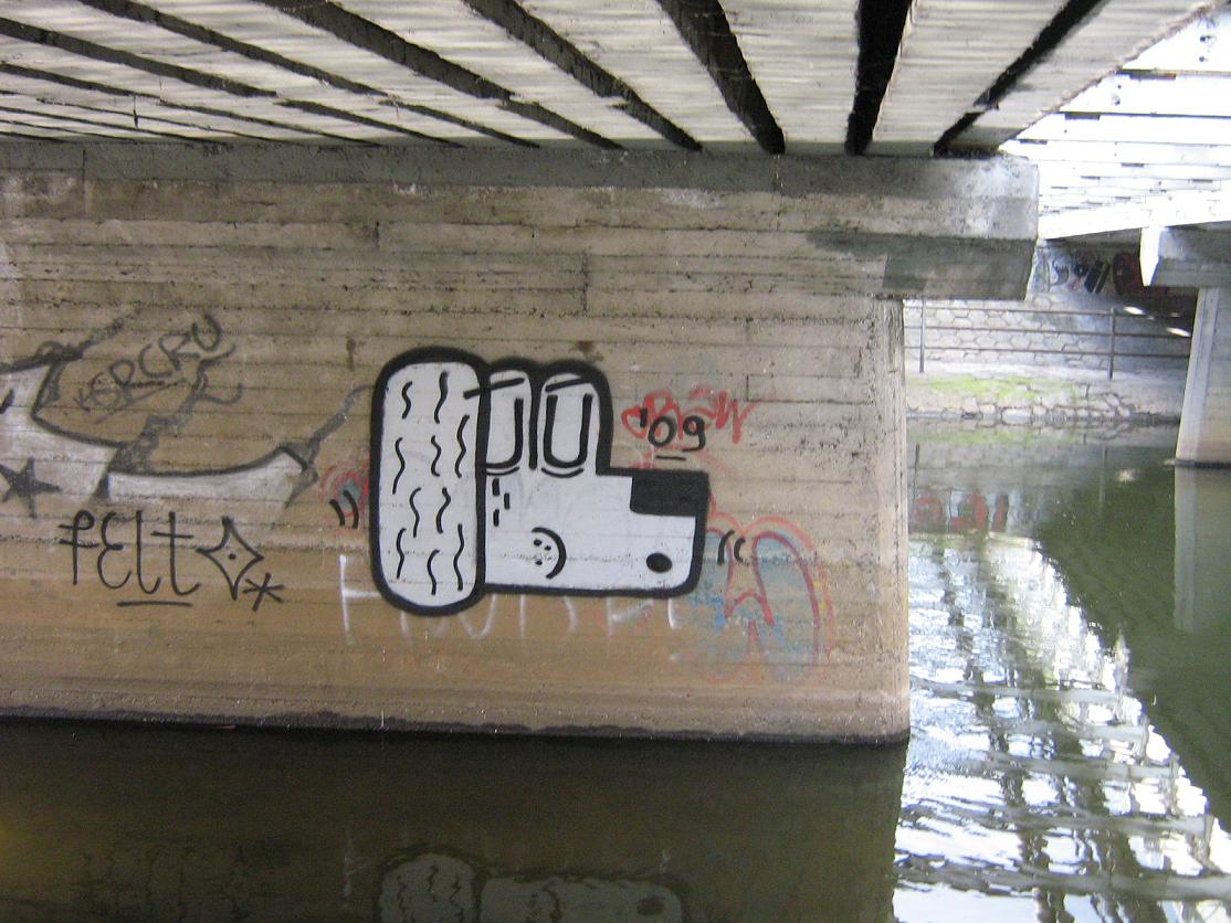 felto | dog | water | poland