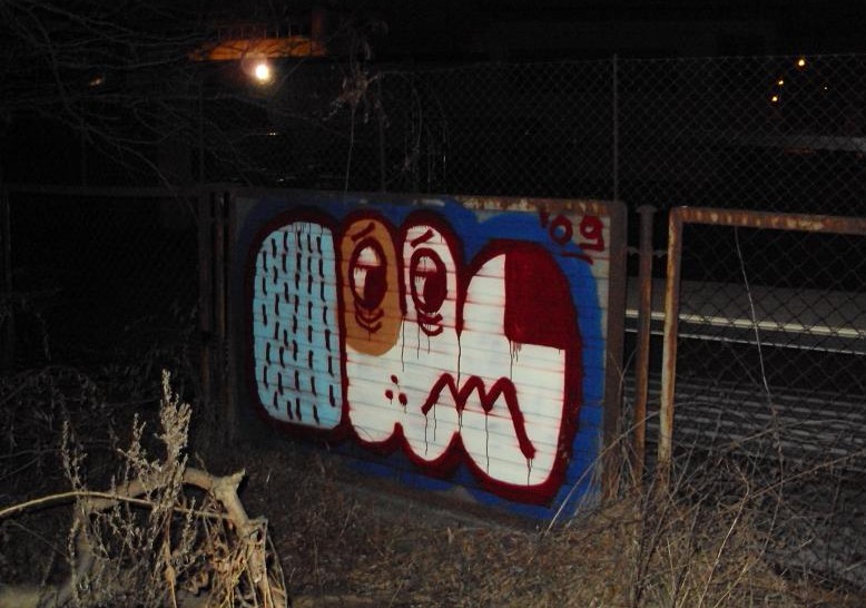 felto | oik | dog | poland