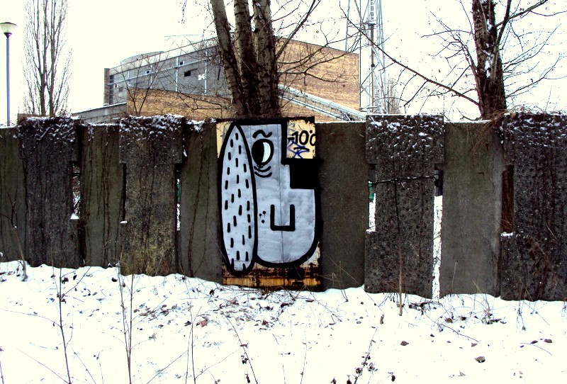 felto | snow | dog | poland
