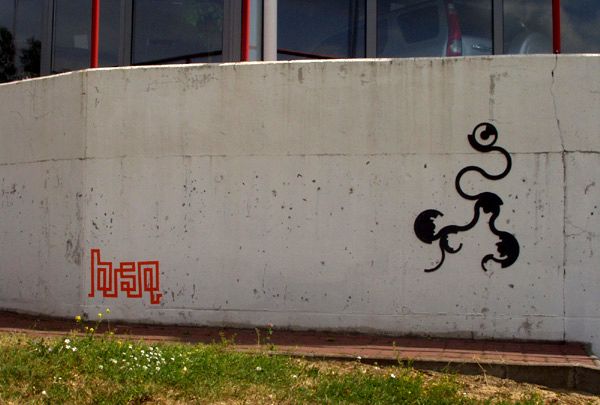 goro | kwiatek | poland