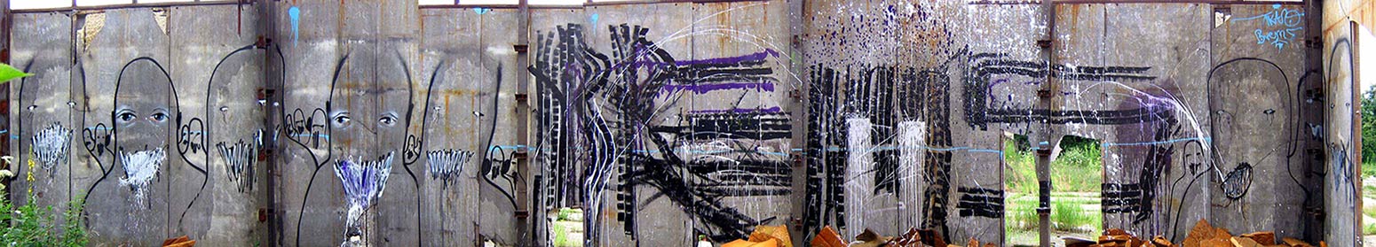 picaso | brems | poland