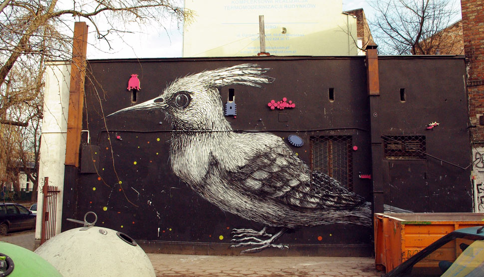 roa | bird | poland