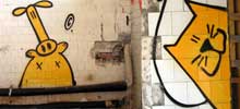 cogito | yellow | poland (1 vote)