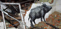 roa | poland (13 votes)