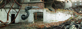roa | bird | poland (16 votes)