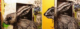 roa | rabbit | poland (26 votes)