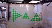 bam | green | poland (1 vote)