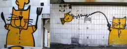 cogito | yellow | poland
