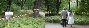 dwaesha | wroclaw | poland | green (5 votes)