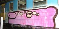 es-tkac | pink | train | poland (9 votes)