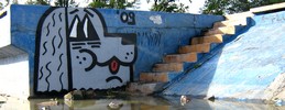 felto | dog | oik | poland (76 votes)