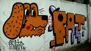 felto | dog | oik | fat-gruz | poland (56 votes)