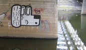 felto | dog | water | poland (23 votes)