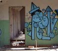 felto | oik | blue | poland (11 votes)