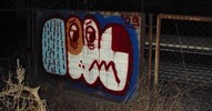 felto | oik | dog | poland (29 votes)