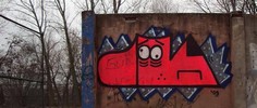 felto | oik | dog | pink | poland (28 votes)