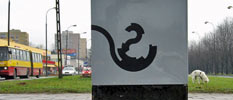 goro | poland (2 votes)