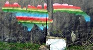 joe83 | buff | rainbow | poland (12 votes)