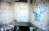 milosc | torun | poland (11 votes)