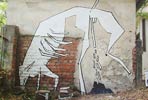 milosc | torun | dog | poland (21 votes)
