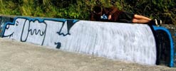 oik | felto | dog | poland (21 votes)