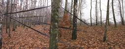 pener | 3-d | poland (21 votes)