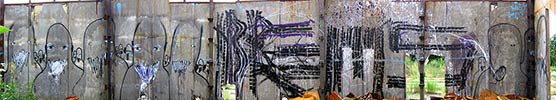 picaso | brems | poland (20 votes)