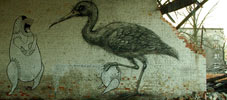 roa | mrufig | bird | poland (23 votes)