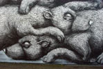 roa | bear | warsaw | poland (24 votes)