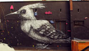 roa | bird | poland (16 votes)
