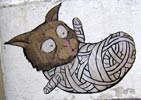 spak | empty | cat | gdansk | poland (22 votes)