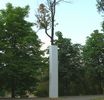truth | 3-d | tree | warsaw | poland (19 votes)
