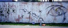 zcart81 | asple | oko | poland (2 votes)