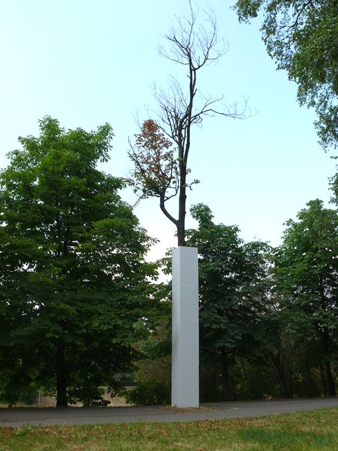truth | 3-d | tree | warsaw | poland