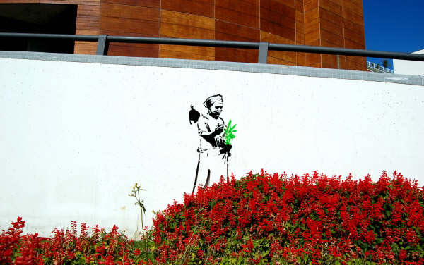 157crew | portugal