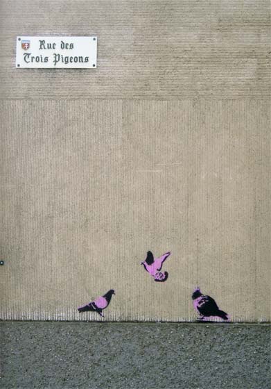 sixo | purple | bird | rennes