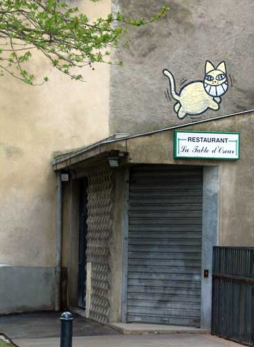 mrchat | nantes | roof | france | cat