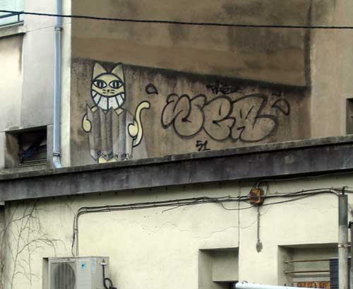 mrchat | wea | nantes | roof | france | cat