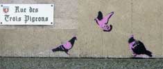 sixo | purple | bird | rennes (9 votes)
