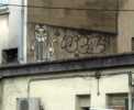 mrchat | wea | nantes | roof | france | cat (6 votes)