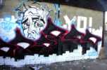 your | oner | crustea | rennes (2 votes)