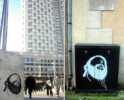 your | oner | rennes (4 votes)