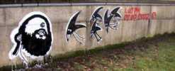 your | oner | rennes (4 votes)