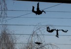 -cs- | nevjansk | russia (20 votes)