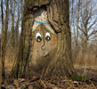0331c | tree | russia (23 votes)