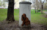 dobry | moscow | russia (18 votes)